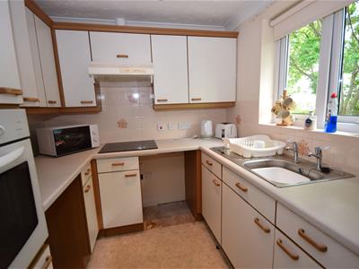 Picture 8